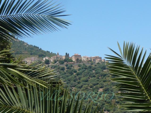 Villa Sorbo auf Korsika - Casa de férias Jardim Villa Sorbo auf Korsika - Casa de férias Jardim