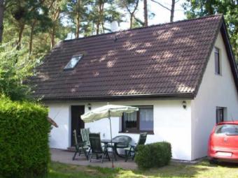 Ferienhaus Haus Weststrand Umgebung Ferienhaus Wieck a. Darß Umgebung