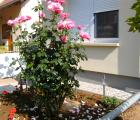GARTENANLAGE