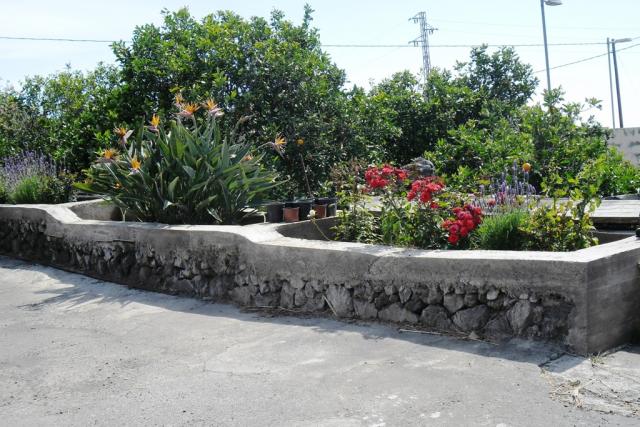 Finca Gabriela App. B - Finca Vardagsrum Finca Gabriela App. B - Finca Vardagsrum