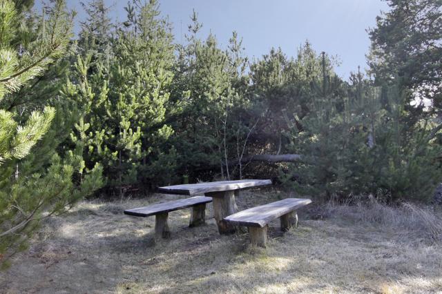 Blaavand - Vacation Home Blaavand - Vacation Home