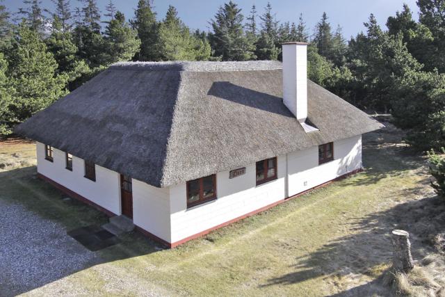 Blaavand - Vacation Home Blaavand - Vacation Home