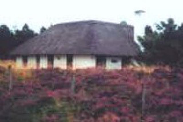 Blaavand - Vacation Home Blaavand - Vacation Home