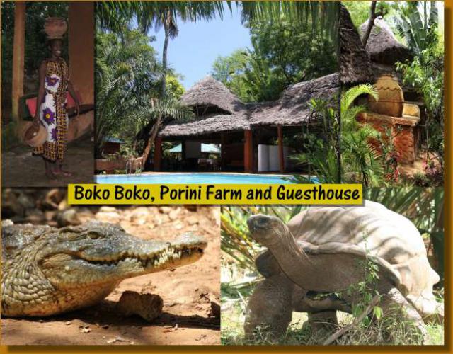 Boko Boko Bungalows - Hotelli Lomakohde Boko Boko Bungalows - Hotelli Lomakohde