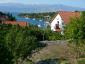 Haveanlæg