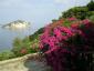 Milieu