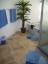 Jardim