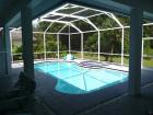 Vacation Home Palm Harbor GARTENANLAGE GARTENANLAGE