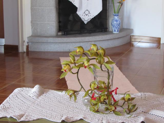 CASA RIA - Vacation Home Gardening System