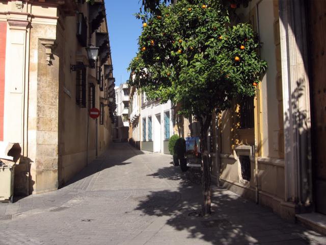 Seville Giralda - Semesterlägenhet Omgivning Seville Giralda - Semesterlägenhet Omgivning
