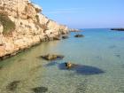 VACANZA NEI TRULLI - Vakantiehuis locorotondo