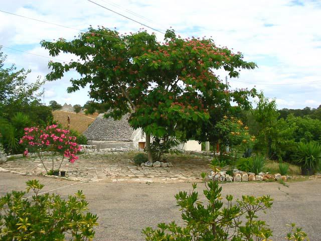 VACANZA NEI TRULLI - Maison de vacances VACANZA NEI TRULLI - Maison de vacances