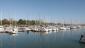 Milieu