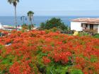 Vakantiewoning Los Gigantes
