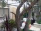 Milieu
