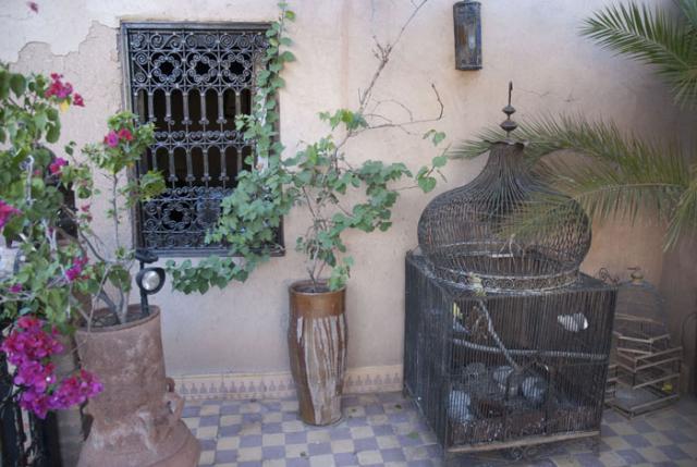 Riad Maison d'hôtes - Bed & Breakfast Χώροι Riad Maison d'hôtes - Bed & Breakfast Χώροι