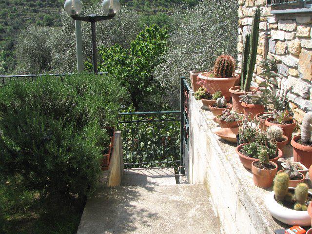 Casa Luciana 2 - Vakantiewoning Plantsoen Casa Luciana 2 - Vakantiewoning Plantsoen