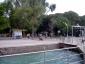 Jardim