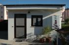 La barba di Giove Mimosa - Casa per le vacanze fiumicino