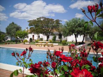 Gite-Casa Cortijo Estacada de las Giardino Gite-Casa Lora del Rio, Sevilla Giardino