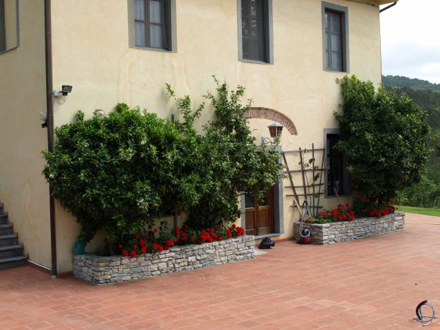 Alfoionco , San Macario - Ferienhaus Umgebung Alfoionco , San Macario - Ferienhaus Umgebung