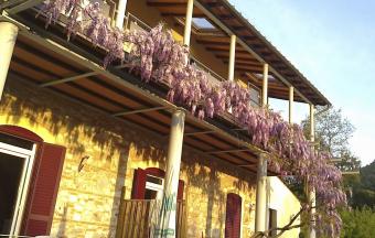 Semesterhus Campiglia M.ma LI 