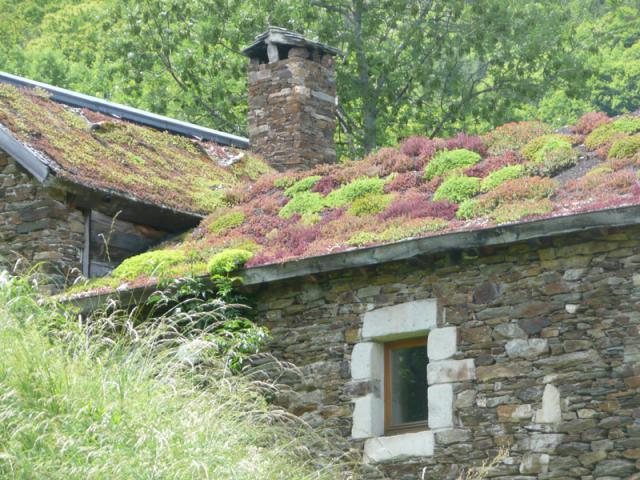 La Combe de Ferrière - Gite-Ferienhaus La Combe de Ferrière - Gite-Ferienhaus