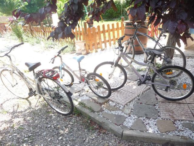 Pergolato di Sotto - Ferienwohnung Pergolato di Sotto - Ferienwohnung