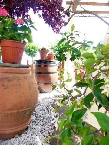 Pergolato di Sotto - Ferienwohnung Gartenanlage Pergolato di Sotto - Ferienwohnung Gartenanlage