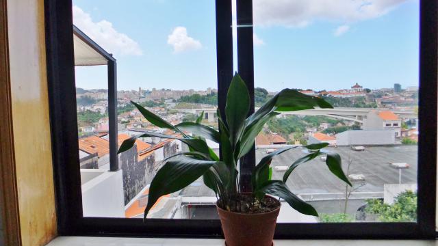 Panoramic Porto & garage - Apartamento de vacaciones Cocina Panoramic Porto & garage - Apartamento de vacaciones Cocina