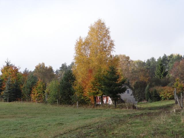 Bauernhof N. Marcinkowo - Rum-Pension Omgivning Bauernhof N. Marcinkowo - Rum-Pension Omgivning