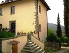 Antico Camino - Apartamento de vacaciones Cellai, Rignano,FIRENZE