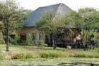 KRUGER ESTATE WILD OLIVE - Semesterhus KRUGERPARK 