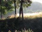 Granly-Egtved B&B - Bed & Breakfast Egtved