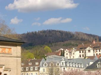 Apartman Baden-Baden Bahçe tesisi Apartman Baden-Baden Bahçe tesisi
