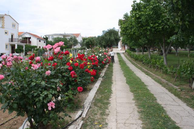 Nedo - Apartmani - Ferielejlighed Nedo - Apartmani - Ferielejlighed