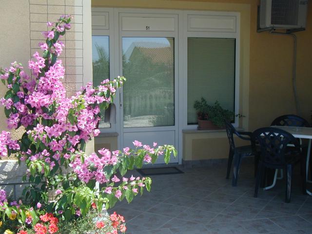 3 Palme www.cro-apartments.com - Rekreační apartmán 3 Palme www.cro-apartments.com - Rekreační apartmán