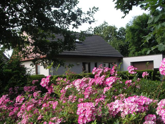 Roggebos 2® aan zee - Ferienhaus Umgebung