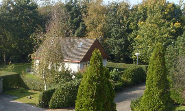 Roggebos 2® aan zee - Ferienhaus Umgebung