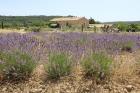 Mas Les Espalisses gites - Gite-Ferienhaus Lussan