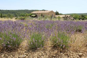 Gite-Hus Lussan Gite-Hus Lussan