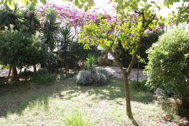studio-apartman - Apartament wakacyjny studio-apartman - Apartament wakacyjny