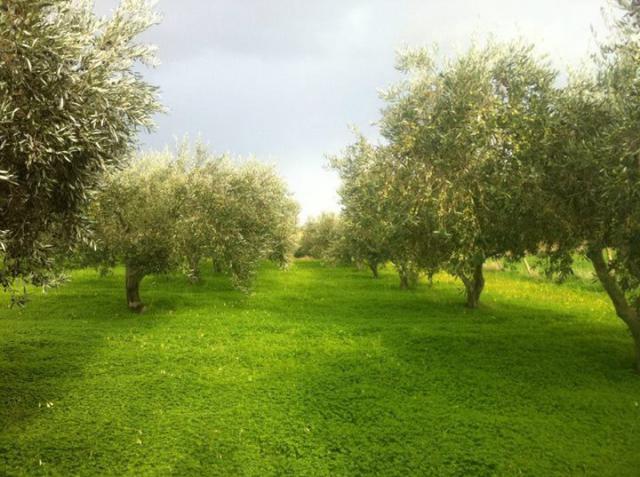 Agriturismo Ridocco - Aamiaismajoitus Urheilu Agriturismo Ridocco - Aamiaismajoitus Urheilu