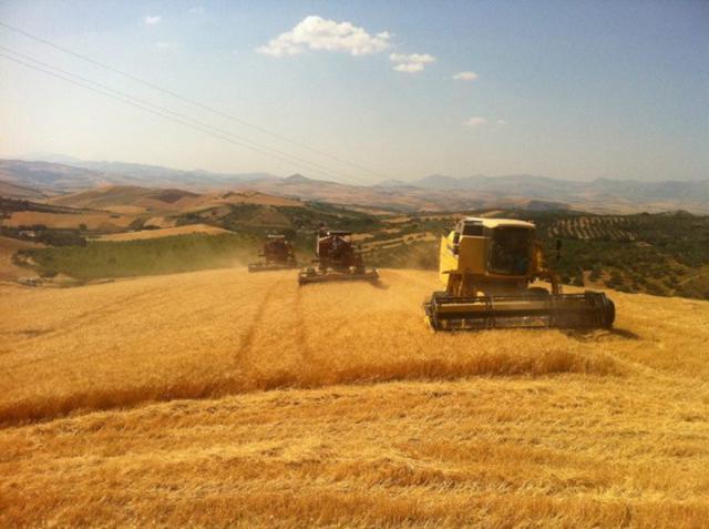 Agriturismo Ridocco - Aamiaismajoitus Vapaa-aikia Agriturismo Ridocco - Aamiaismajoitus Vapaa-aikia