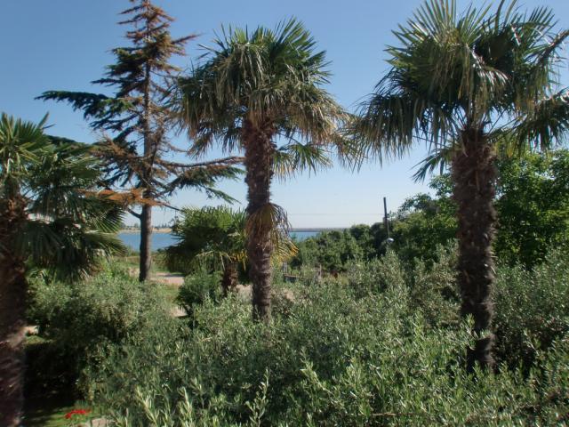 Milka Umag Istra - Vakantiewoning Milieu Milka Umag Istra - Vakantiewoning Milieu