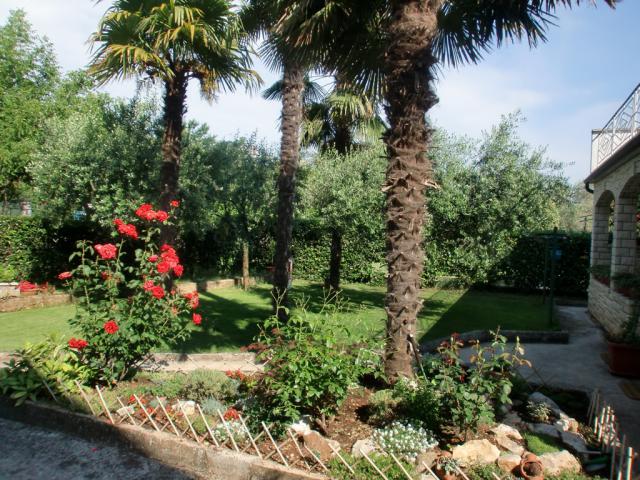 Milka Umag Istra - Vakantiewoning Milieu Milka Umag Istra - Vakantiewoning Milieu