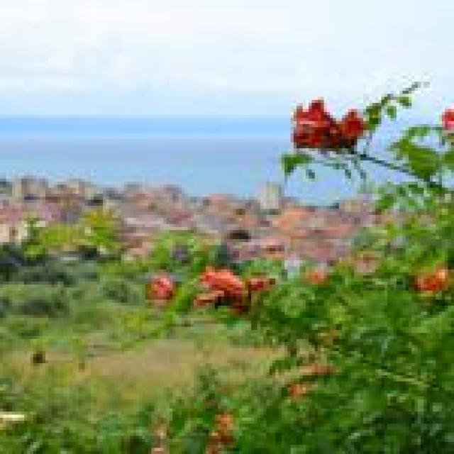 Residence La Giungla - Vakantiewoning Milieu Residence La Giungla - Vakantiewoning Milieu