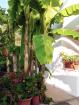 apartman za 1-6 osoba - Apartamento de vacaciones Poreč
