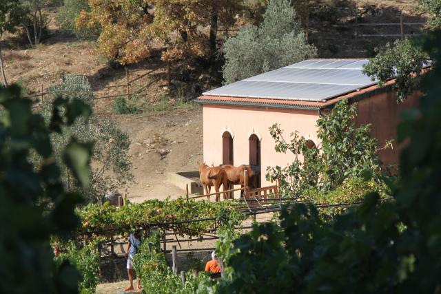 terra dei ciuchi - Εξοχικό διαμέρισμα Κήπος terra dei ciuchi - Εξοχικό διαμέρισμα Κήπος