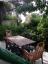 Milieu